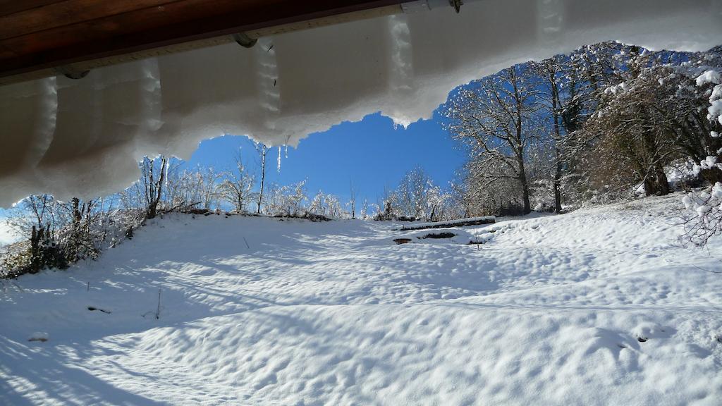 La Chouette A L'Heure Du Pinson Bed and Breakfast Saint-Pierre-d'Entremont  Buitenkant foto