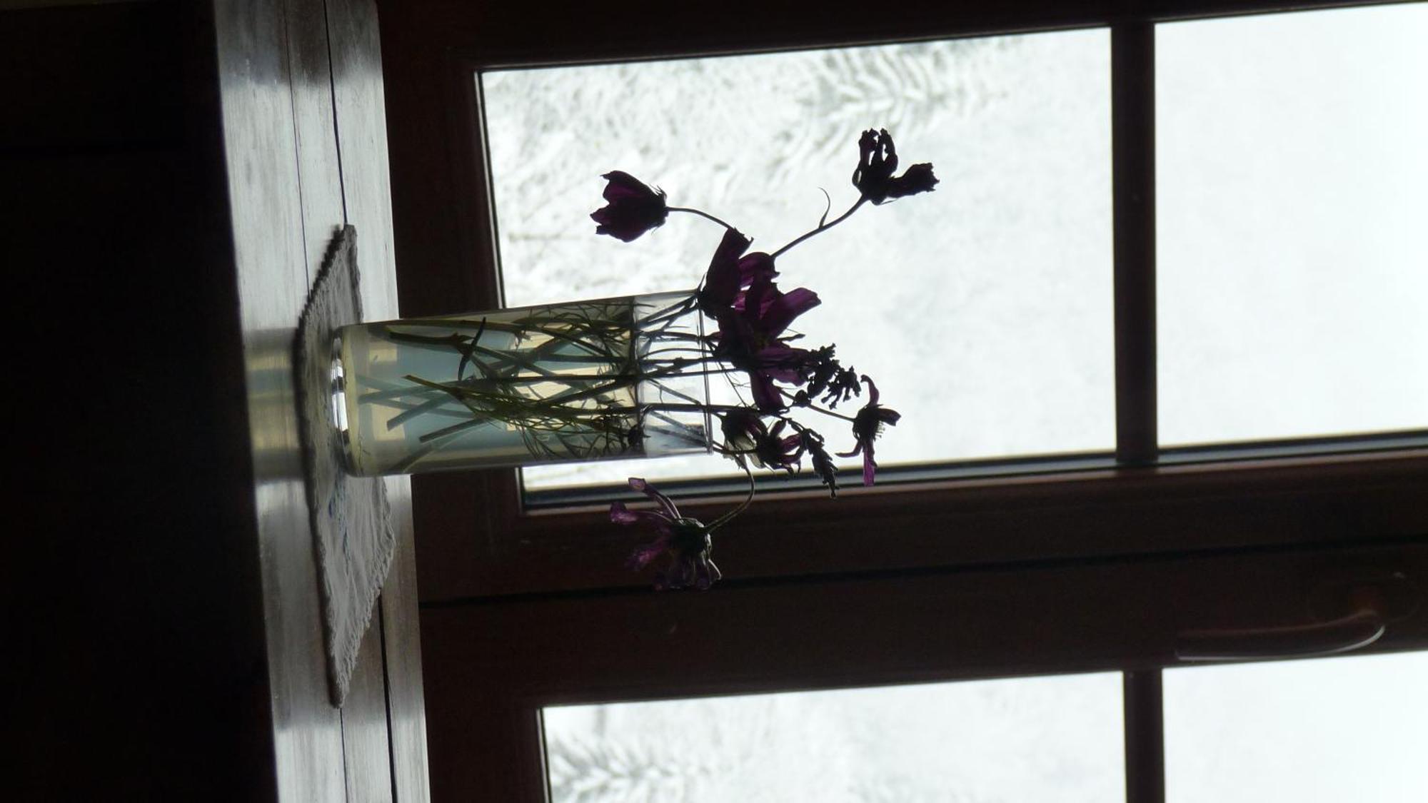 La Chouette A L'Heure Du Pinson Bed and Breakfast Saint-Pierre-d'Entremont  Kamer foto