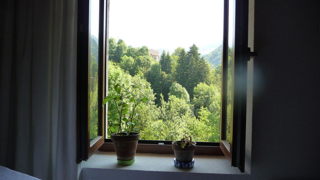 La Chouette A L'Heure Du Pinson Bed and Breakfast Saint-Pierre-d'Entremont  Buitenkant foto