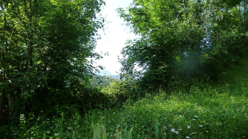La Chouette A L'Heure Du Pinson Bed and Breakfast Saint-Pierre-d'Entremont  Buitenkant foto