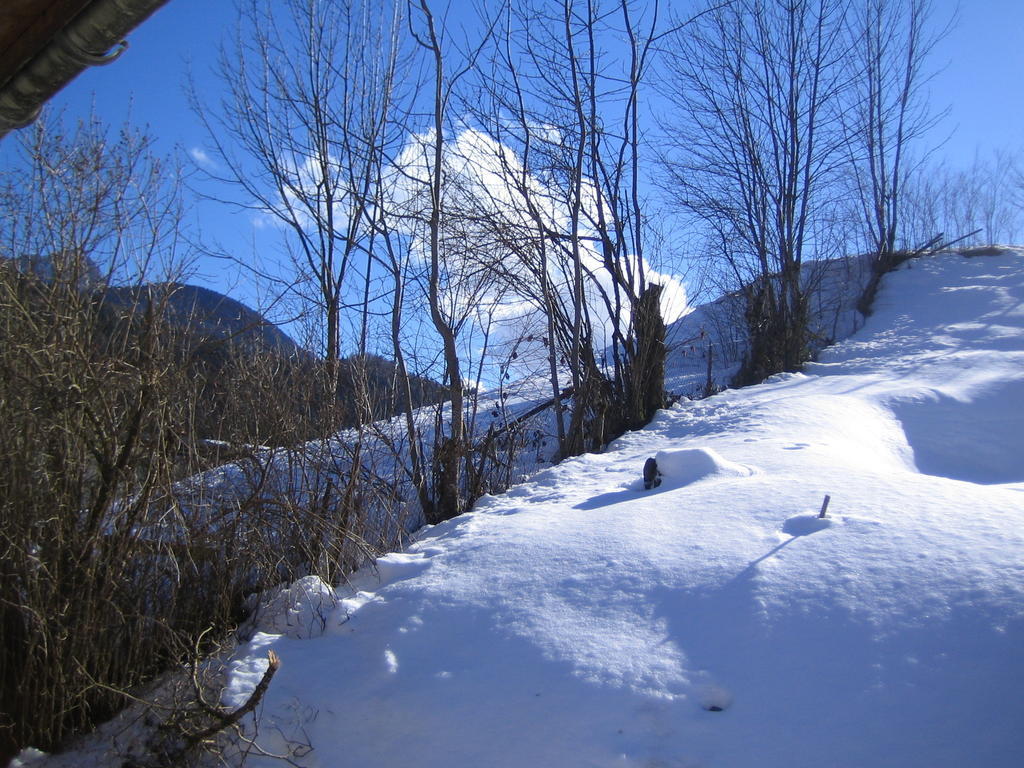 La Chouette A L'Heure Du Pinson Bed and Breakfast Saint-Pierre-d'Entremont  Buitenkant foto